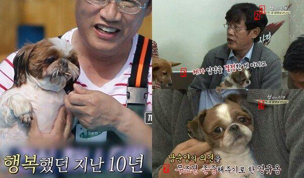 Lee Kyung Kyu, who heard about his dog's death during the shoot