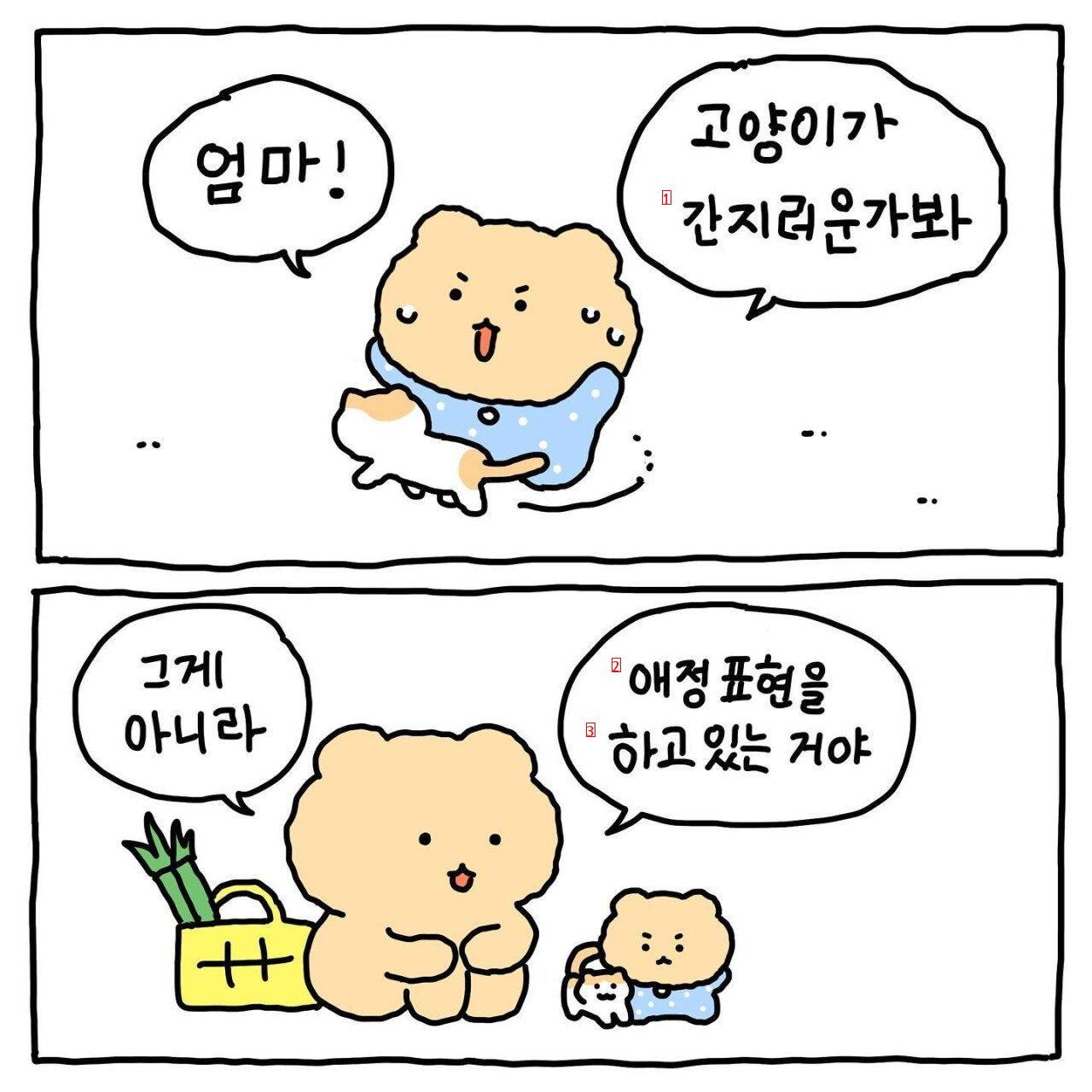 A broken bear! I like you! Cartoon manhwa