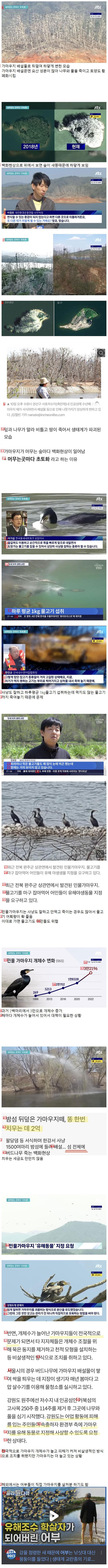 Villain Birds Destroying Korea's Ecosystem