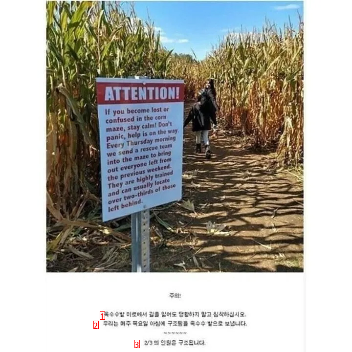 Why you shouldn't go to cornfields in the U.S.JPG