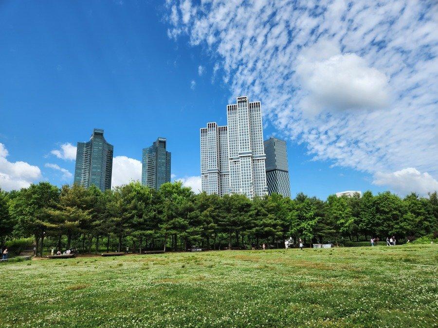 Current Seoul Forest JPG