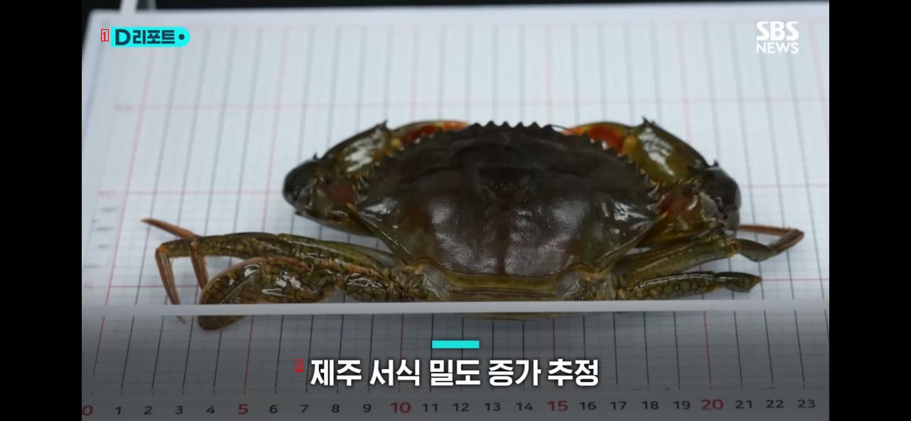 Top Predators of Foreign Species Appeared in Korea