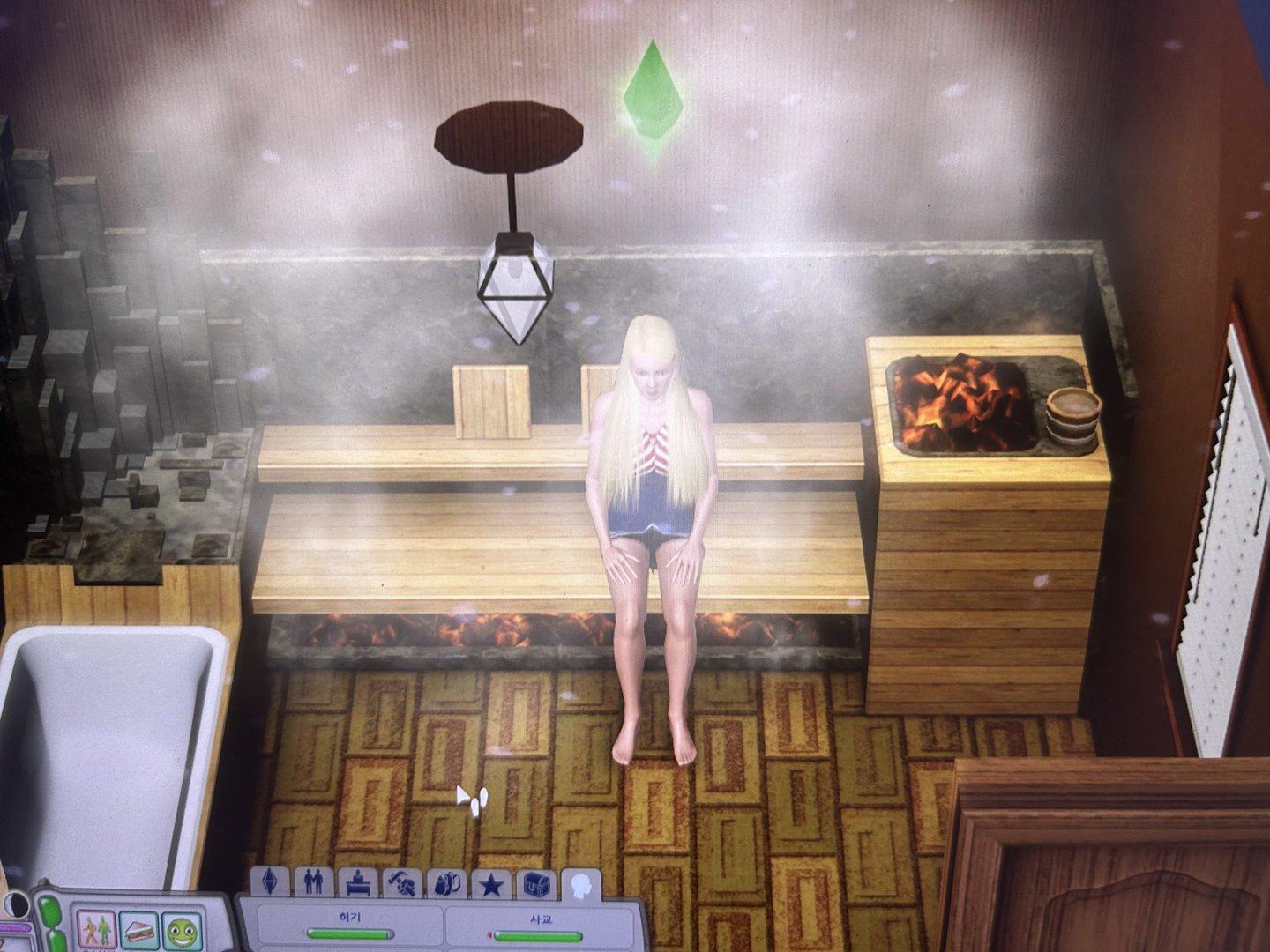 Envy Sims Life