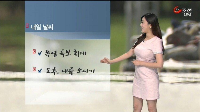 Lee Jinhee's weather forecaster. Jpg