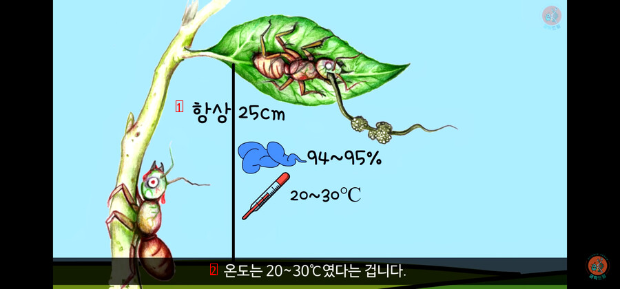 The secret of the insect plant, which is scarier than we thought