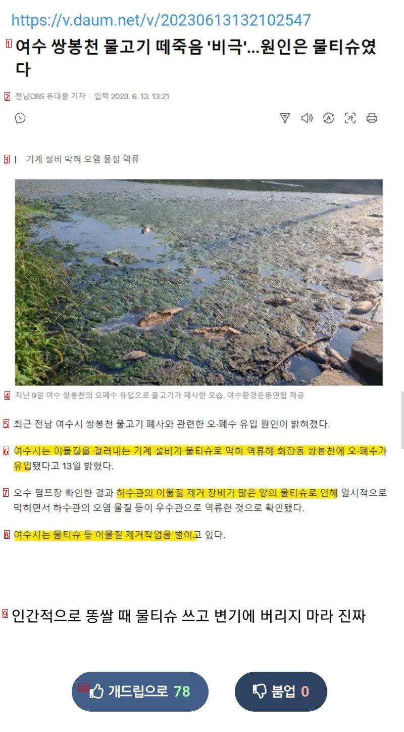 The cause of the Yeosu fish mass death tragedy is wet wipes
