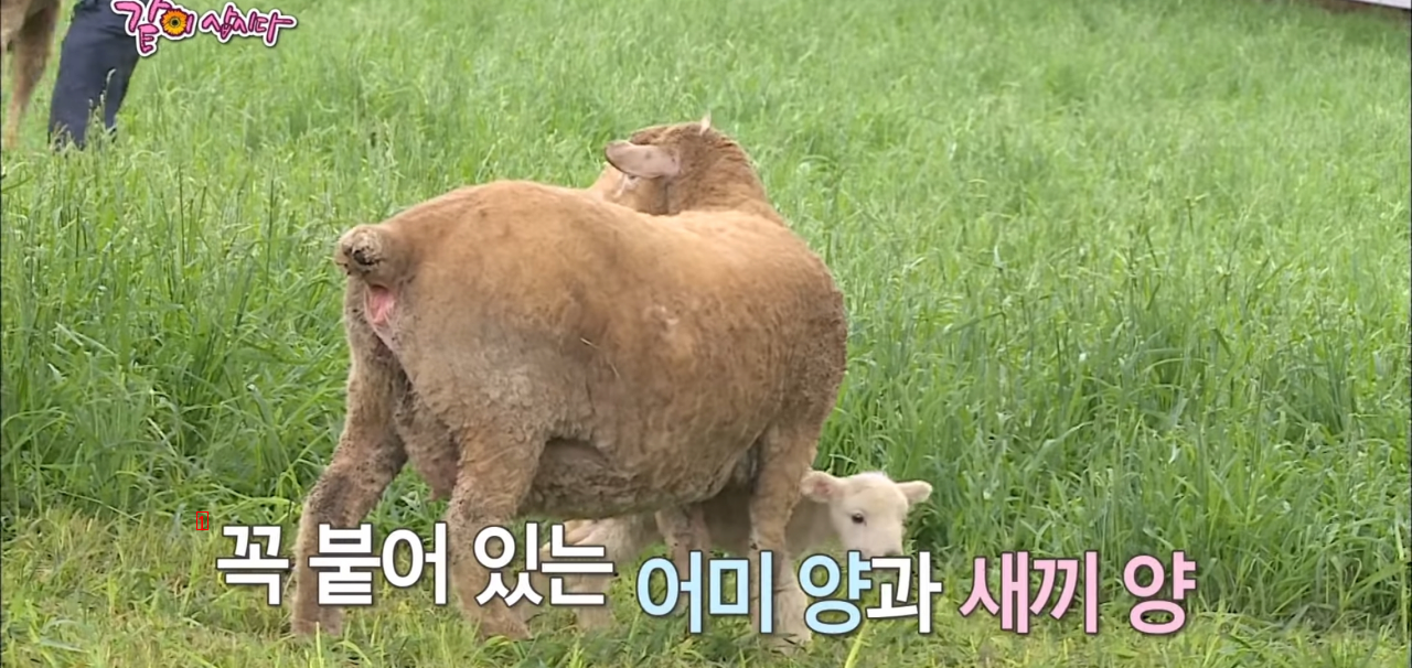 a mother who has her own urn next to her son's urn