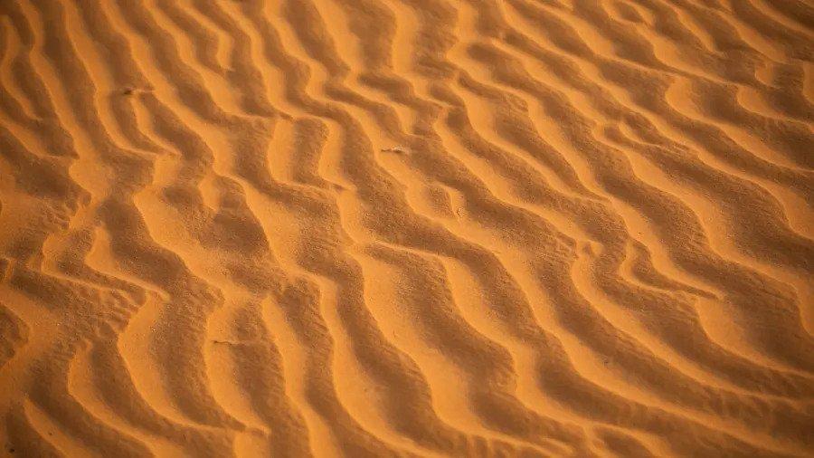 Land 90 Sand Why Saudi Arabia Imports Sand