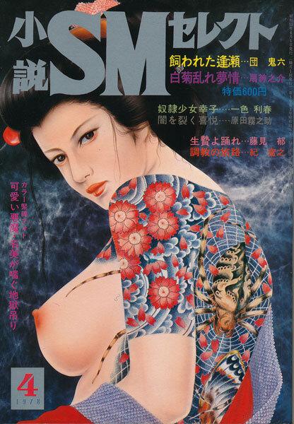 Japan's Retro AV Magazine Cover