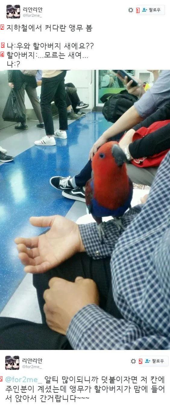 Wow, so cute! It's a grandpa bird!