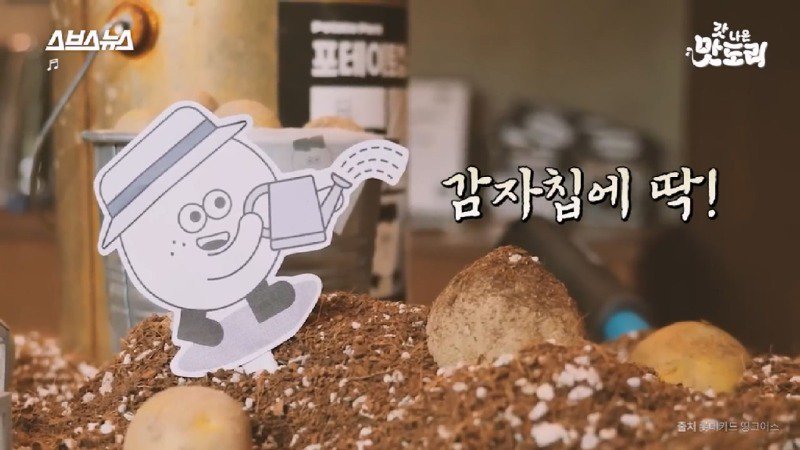 Ugly potato papa chips in Gangneung that received awards from the country