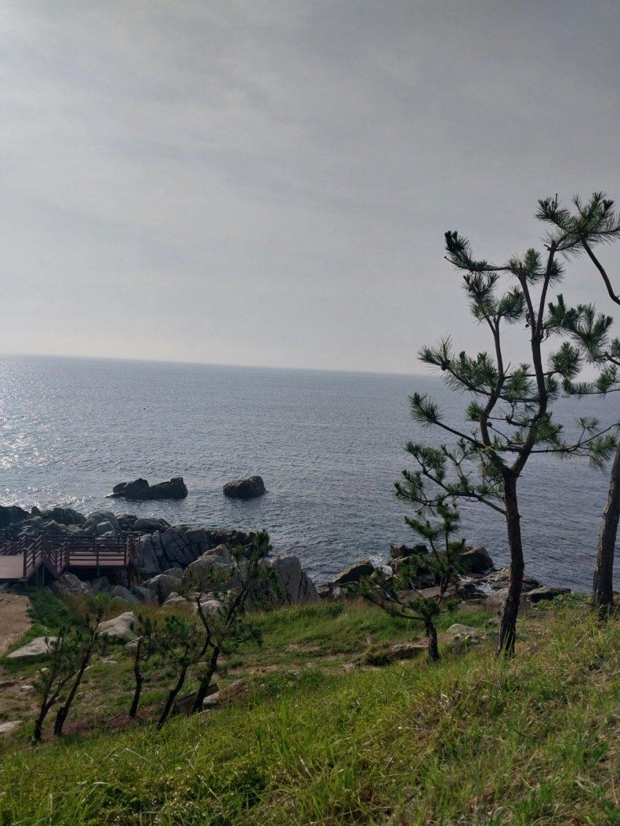 Yesterday, Yeongdeok-gun Beach JPG