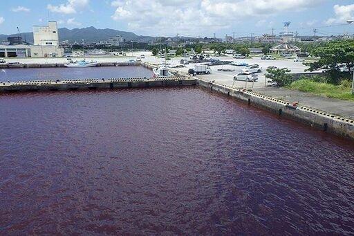 The condition of the Japanese sea, which is now red;;