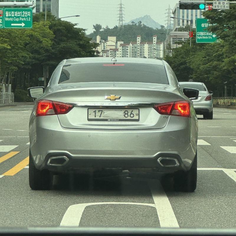 Suspected Impala Found in Korea