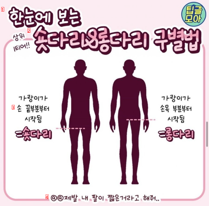 How to distinguish long legs and short legs jpg