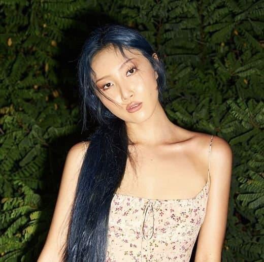 MAMAMOO's Hwasa was accused of performing obscenely