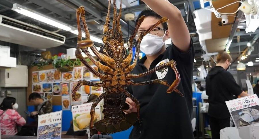 Wow, there's a big shrimp like this shivering