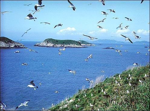 The story of the land that became the sea one day