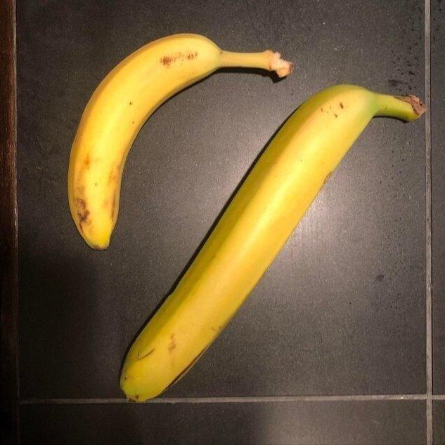 Southeast Asian Banana Size