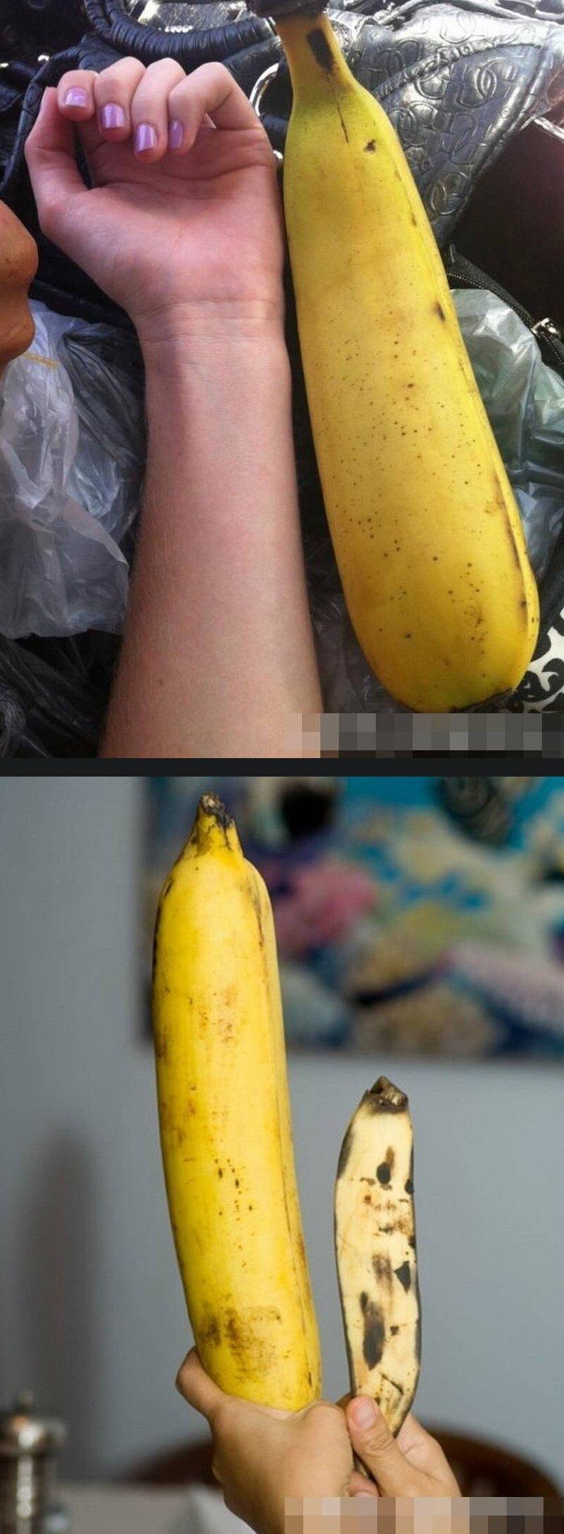 Southeast Asian Banana Size