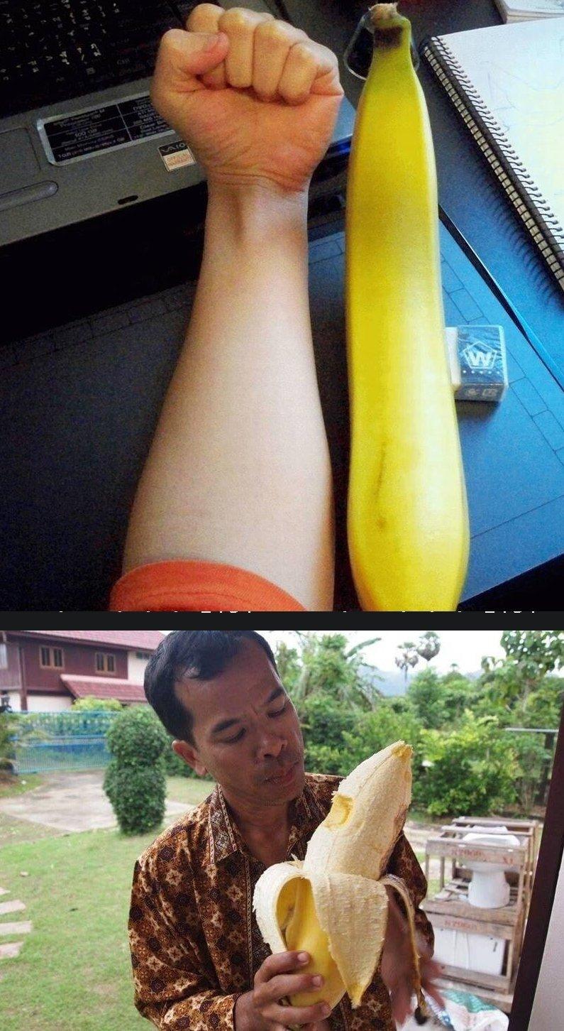 Southeast Asian Banana Size