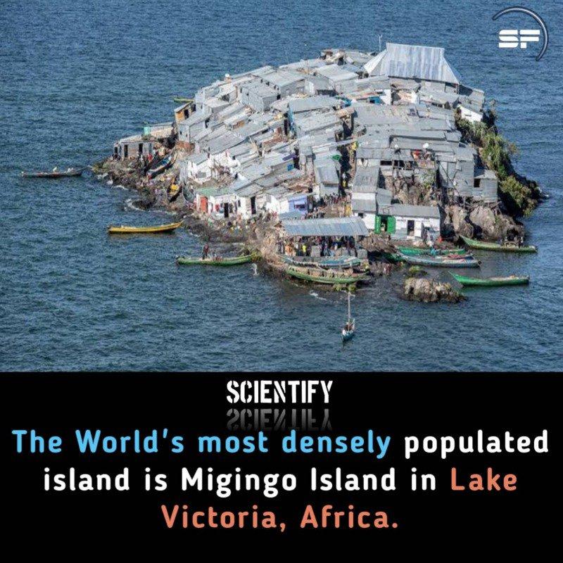 It's the most densely populated island