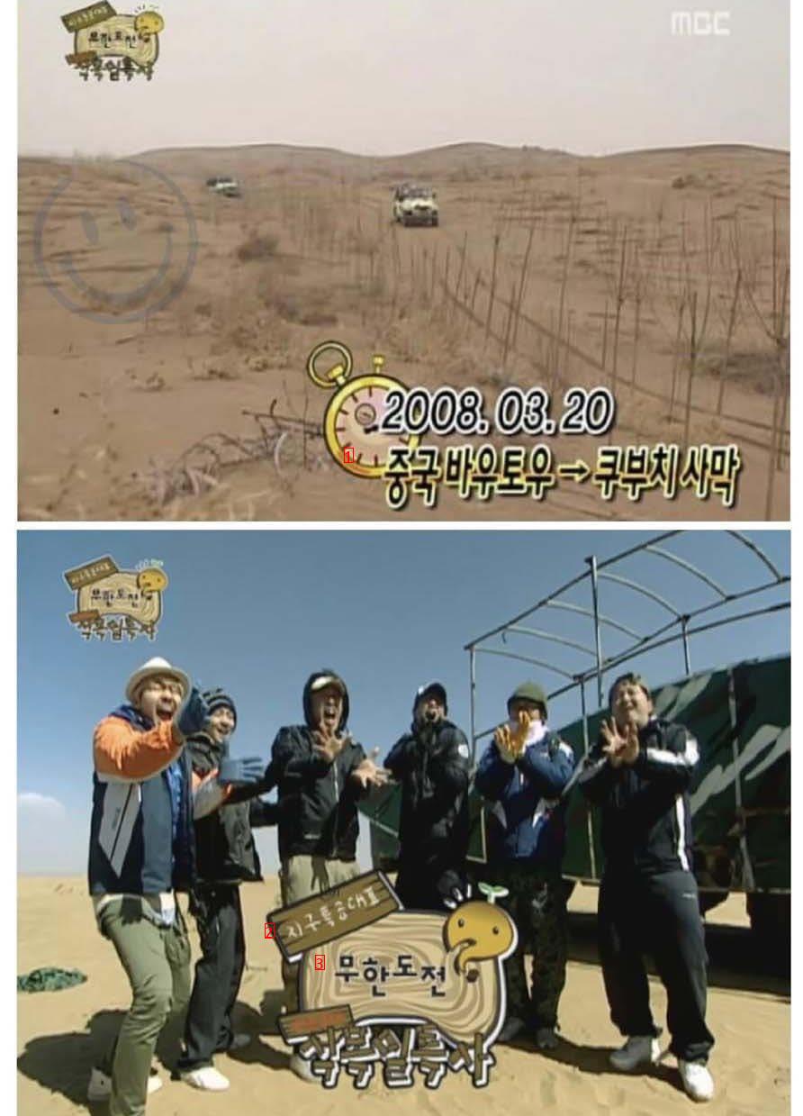 What happened to the trees that Infinite Challenge planted in Mongolia 15 years ago