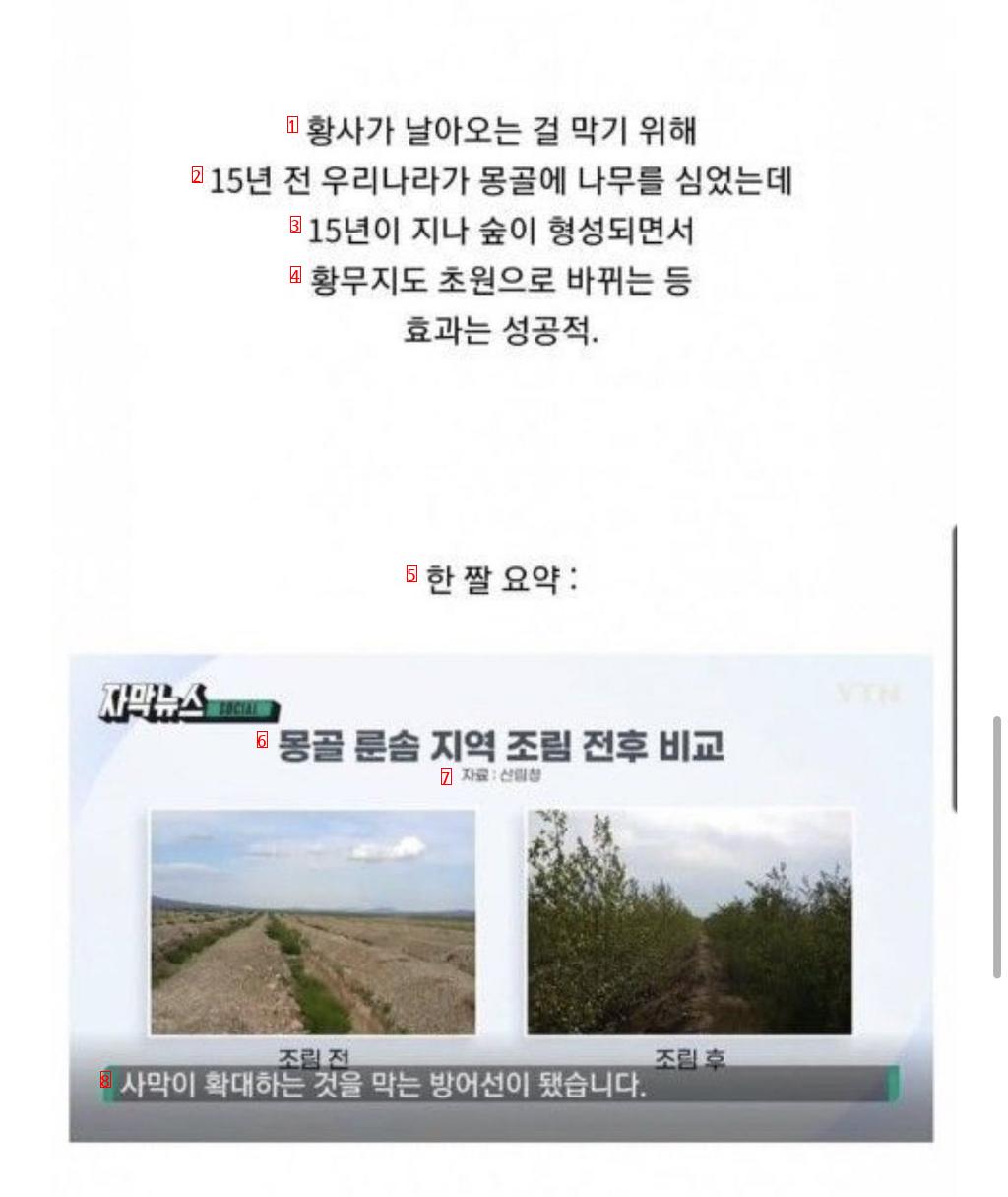 What happened to the trees that Infinite Challenge planted in Mongolia 15 years ago