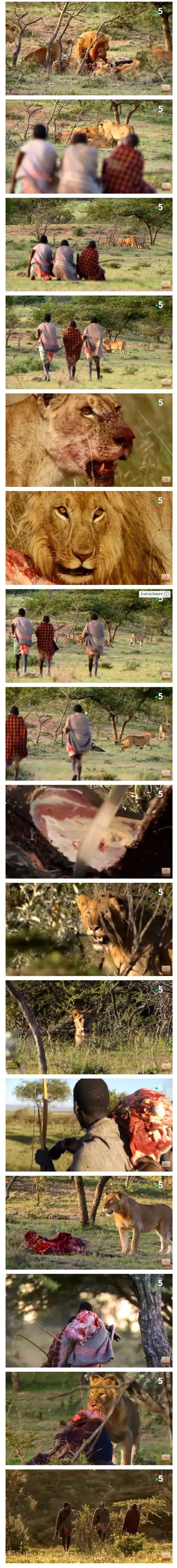 A Simple Way to Get Meat in Africa