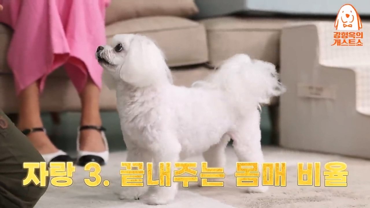 Kim Hee-sun sobbed in front of her dog