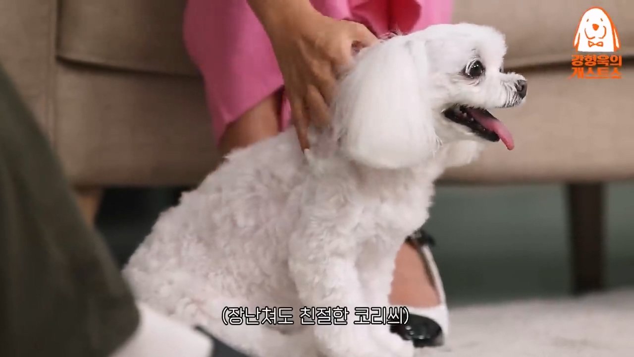 Kim Hee-sun sobbed in front of her dog