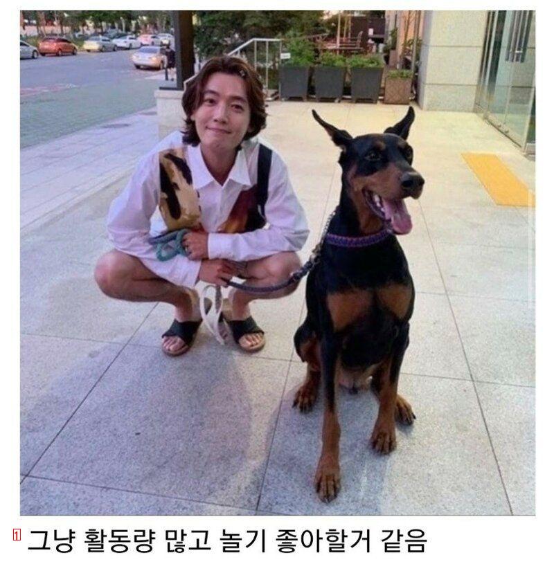 the same dog and the other owner