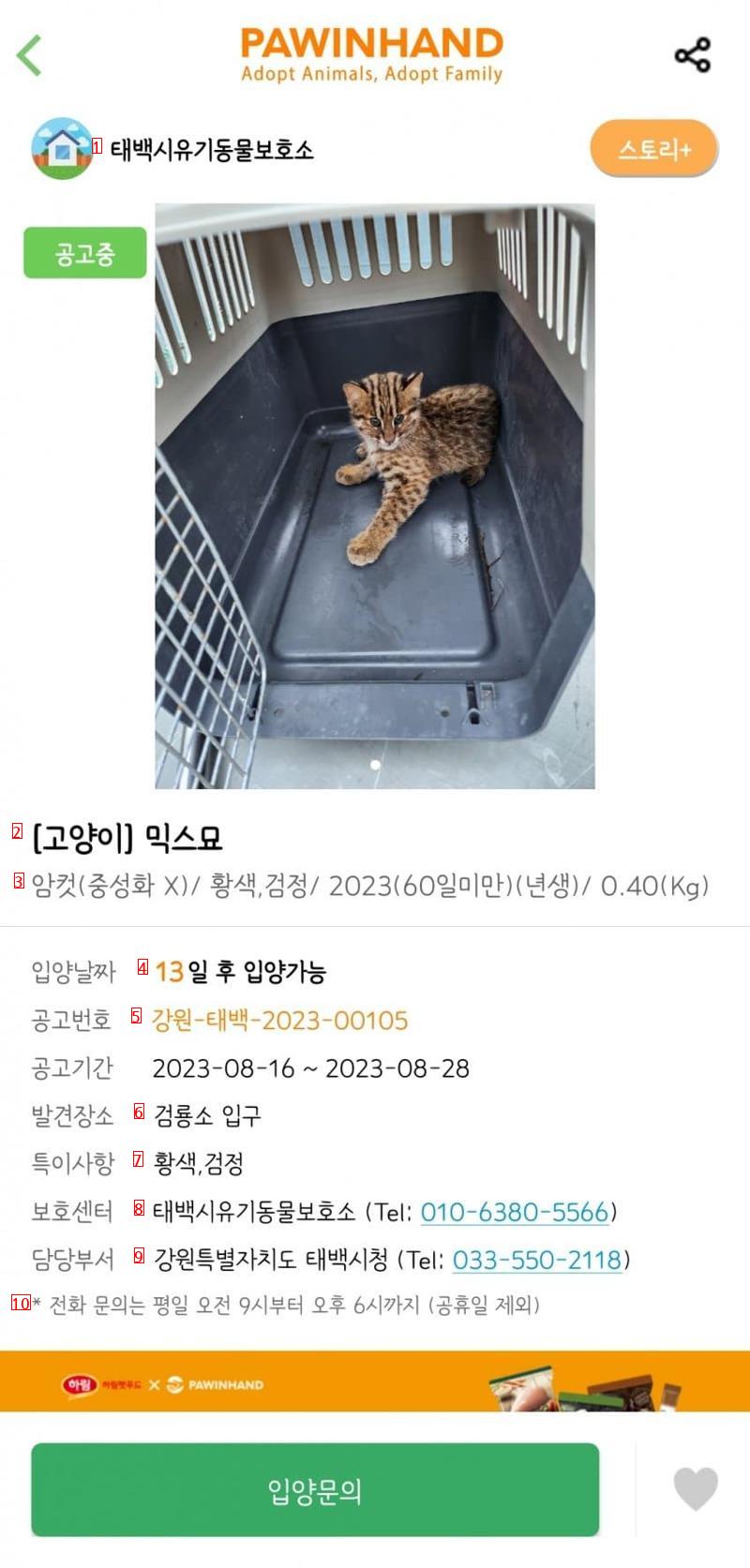 Before and after the announcement of Taebaek Animal Shelter was revised