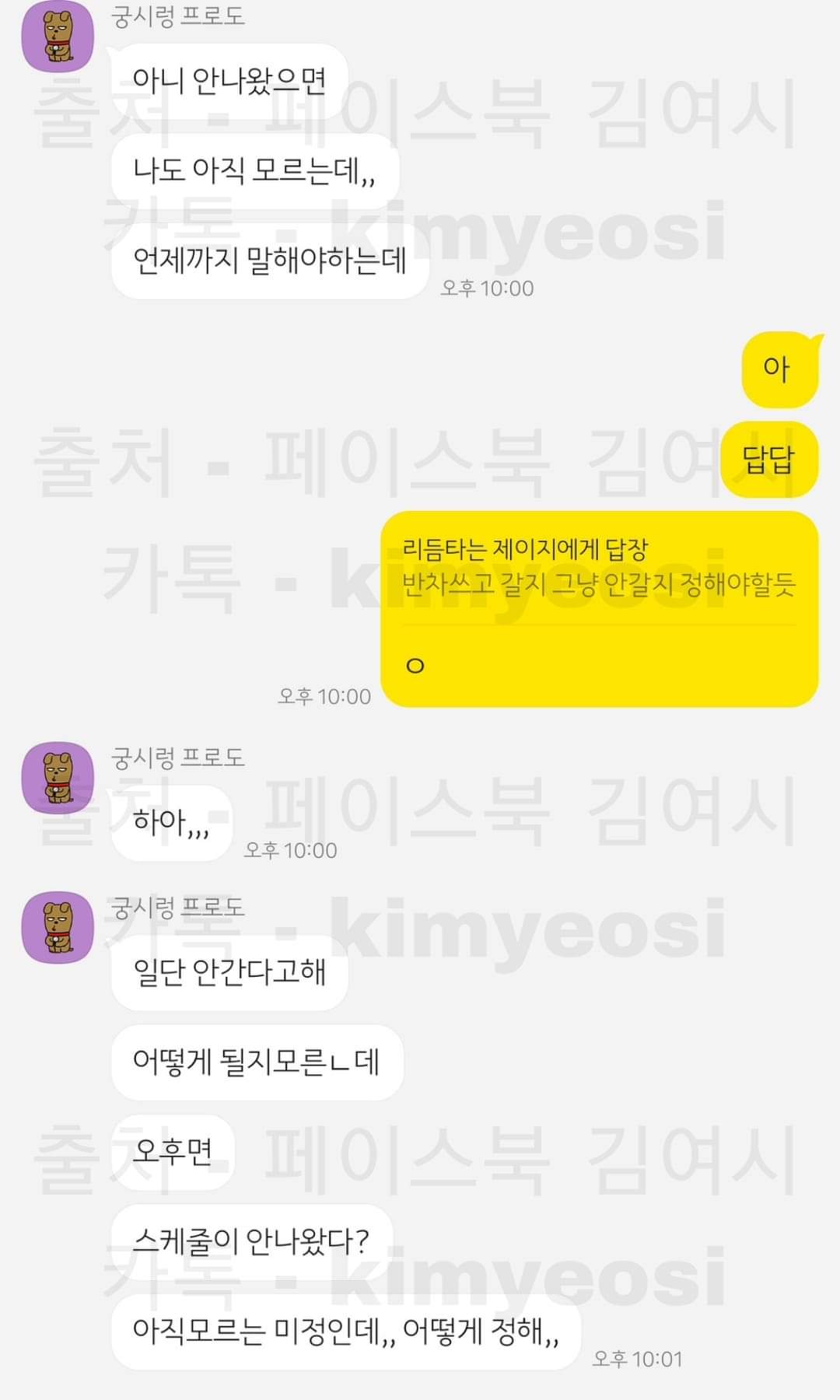 A Kakao Talk conversation between a female member that her brother is stupid
