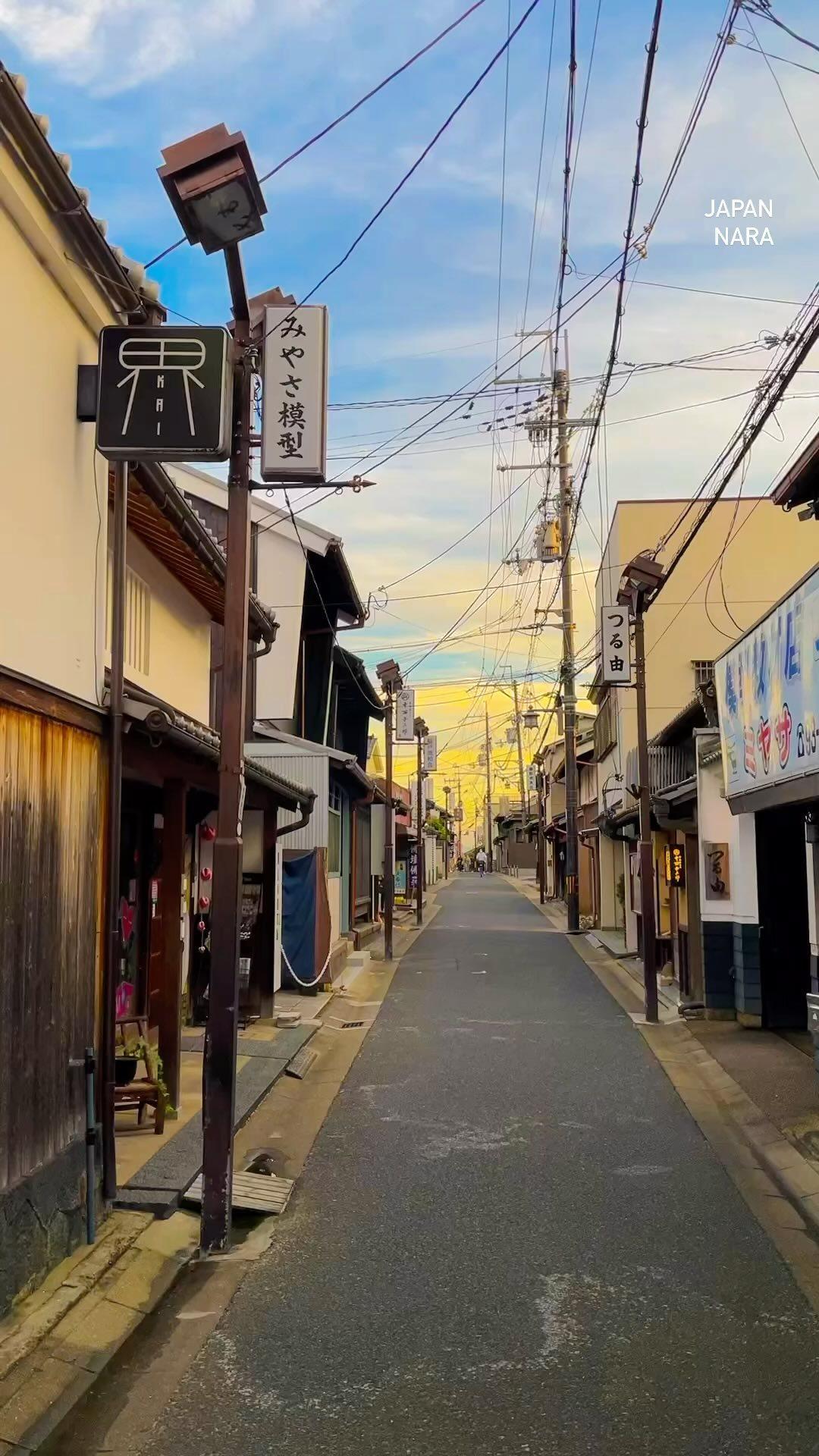 Photographs taken by a Korean living in rural Japan