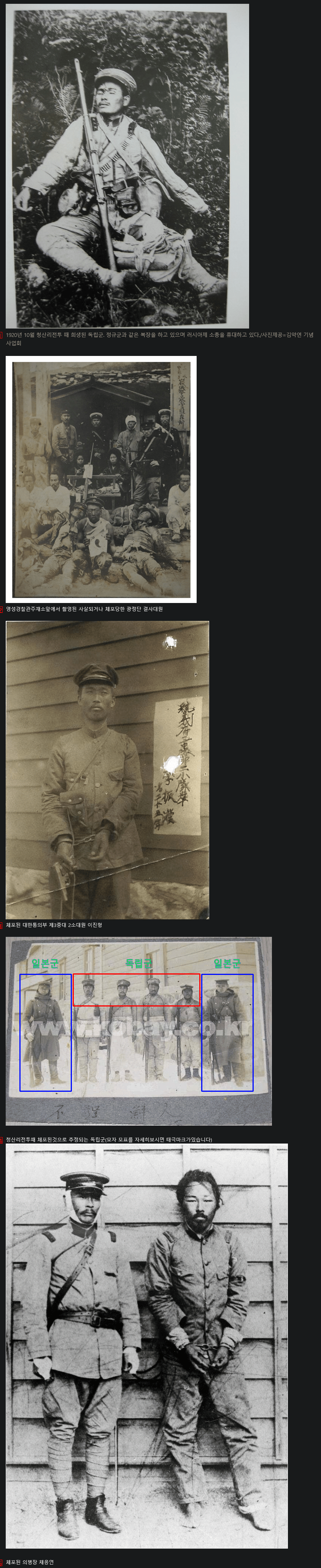 Photos of the Independence Army arrested or shot.jpg