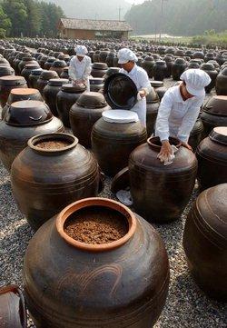 Wow... Look at the doenjang container... That's so true…