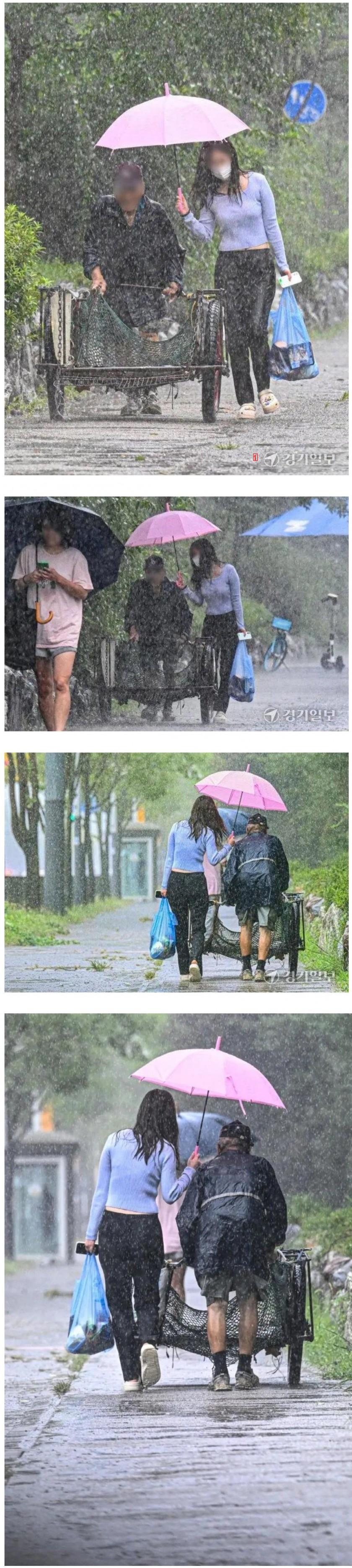 A Pink Umbrella in Danwon-gu, Ansan