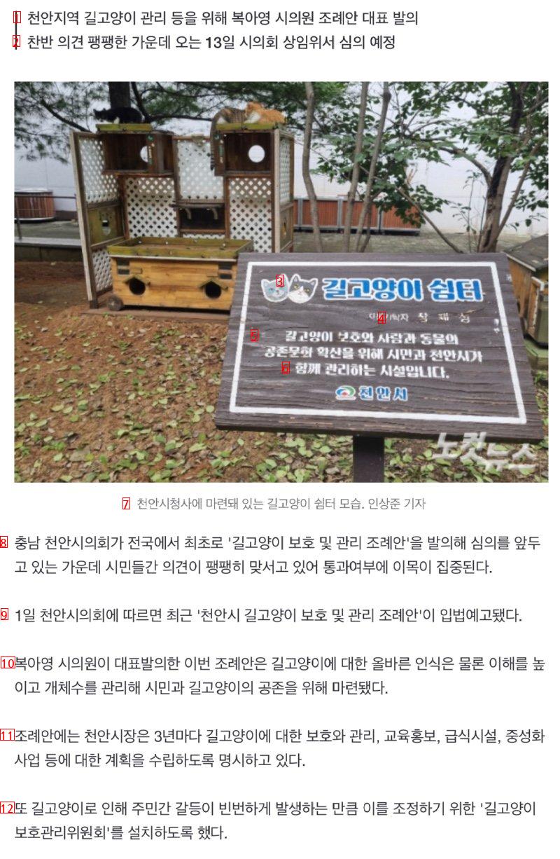 Cat Protection Ordinance in Germany and Korea