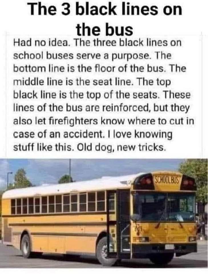 The reason why there are three black lines on the school bus