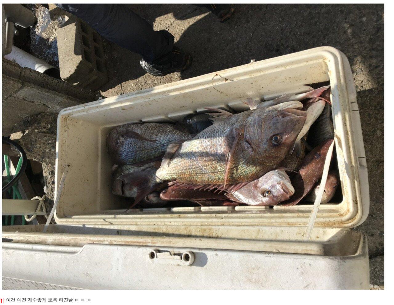 It was a controversy over red sea bream with three meals missing from the current angler's view...txt