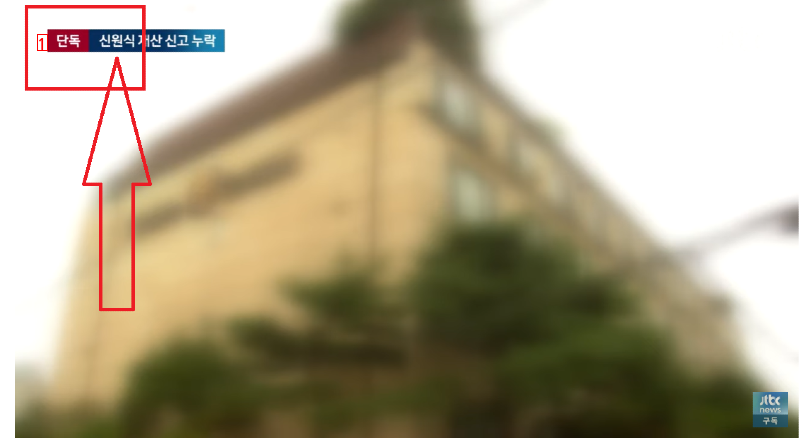 I don't report Shin Won-sik's wife's luxury villa property