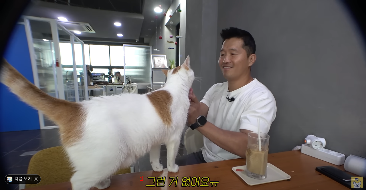 Kang Hyungwook who doesn't know about cats