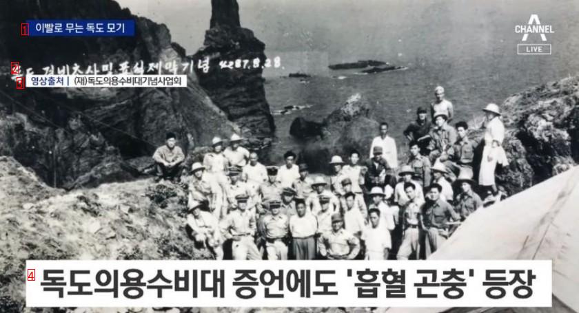 Teeth-Biting Mosquitoes Found on Dokdo