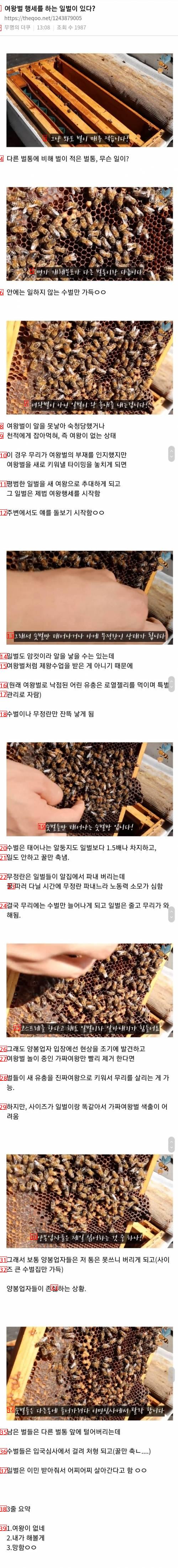 There are worker bees pretending to be queen bees