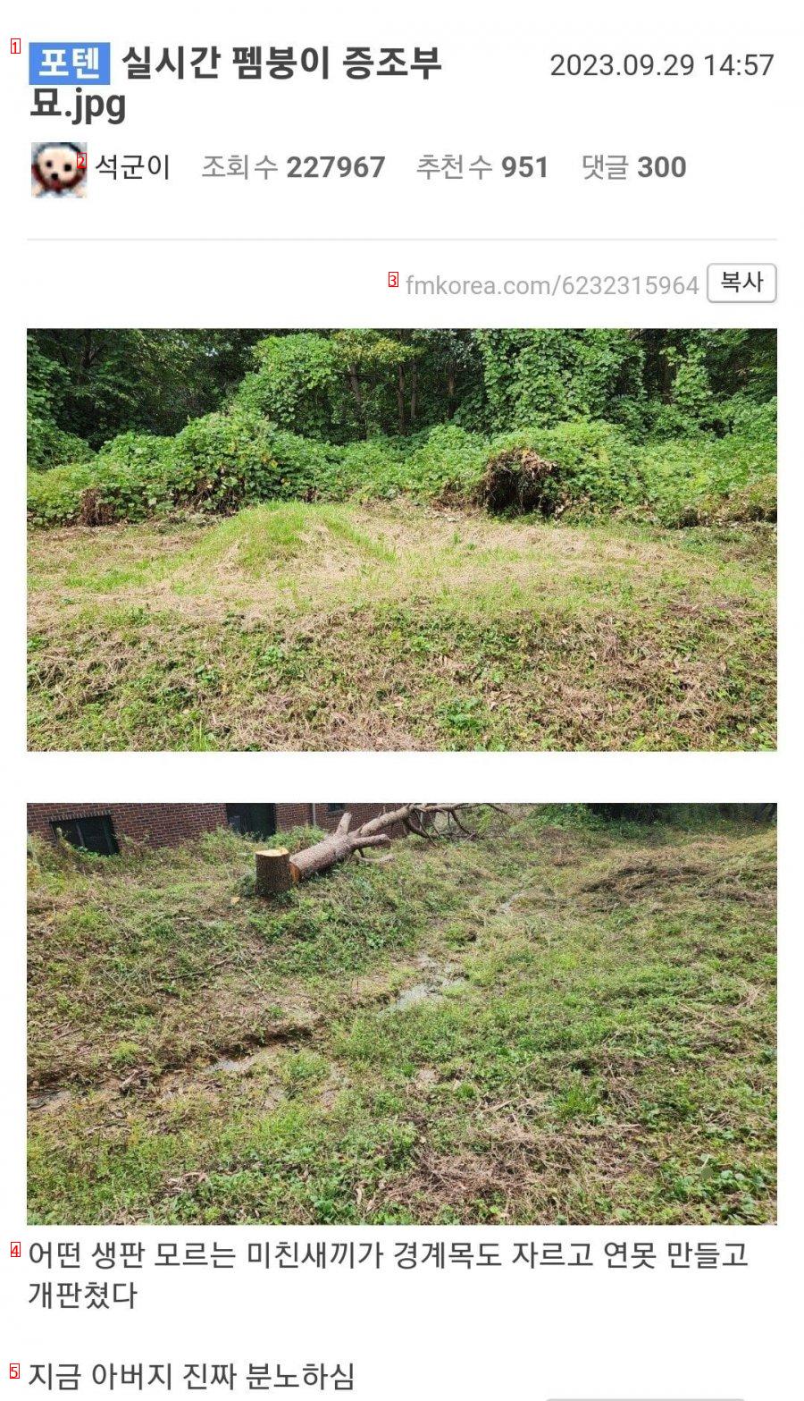 Case where my great-grandfather's grave became a mess.jpg