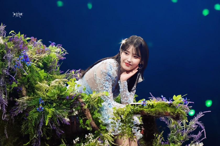 (SOUND)IU! IU fan concert GIF! 1 picture