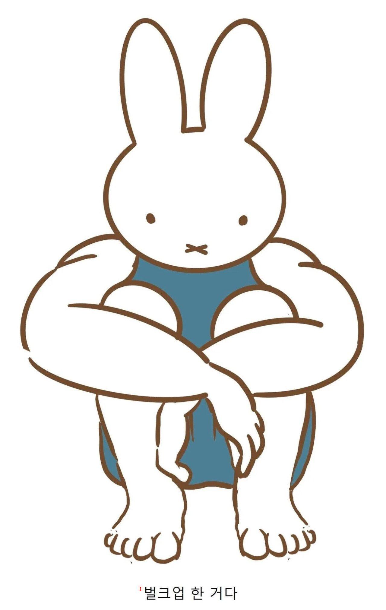 Current controversial Miffy photojpg
