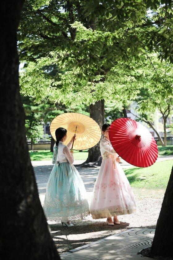 Korean Traditional Umbrella Jiwoo San