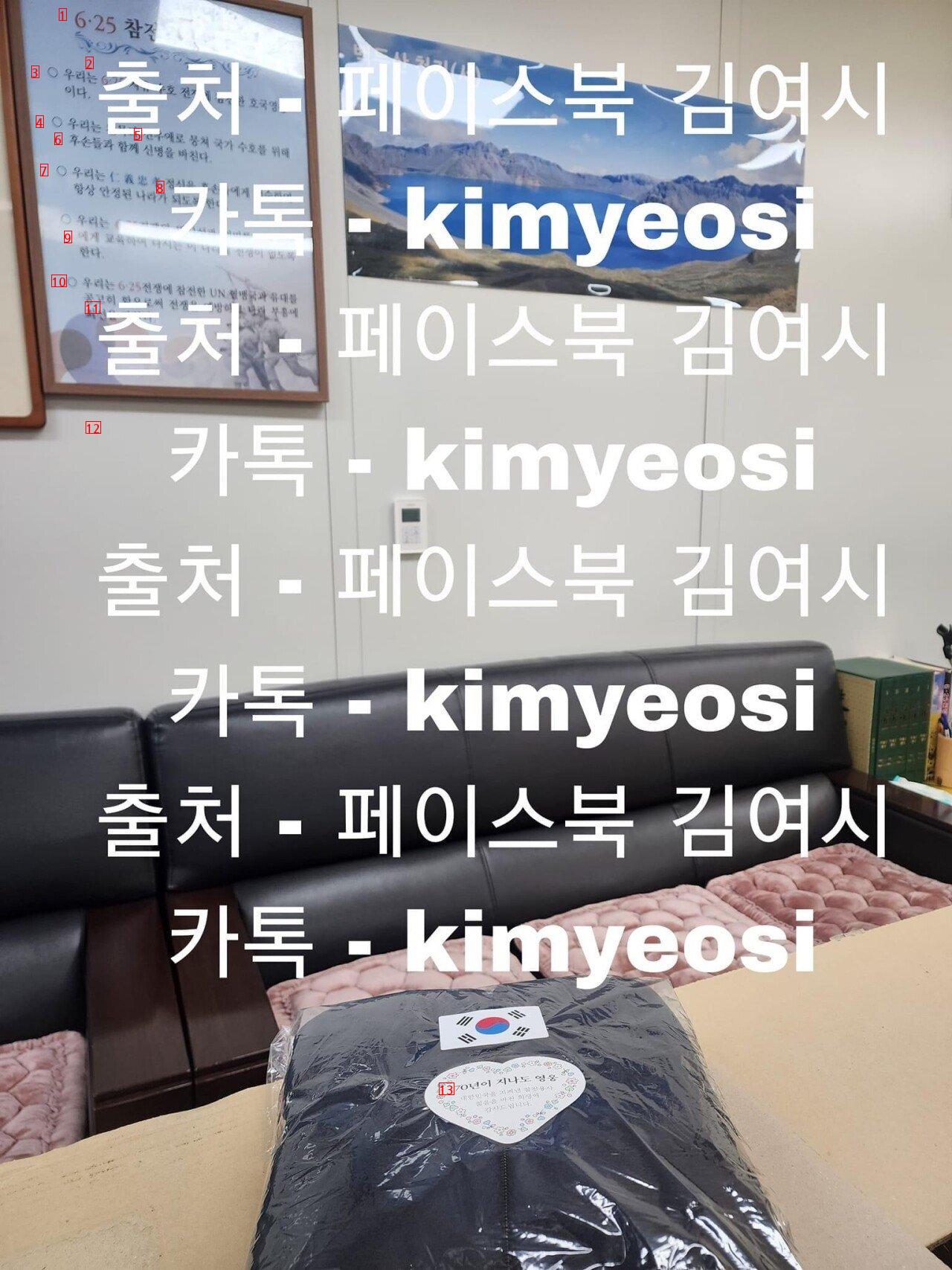 Yeosi Kim, who filed a group complaint against Yeosi members